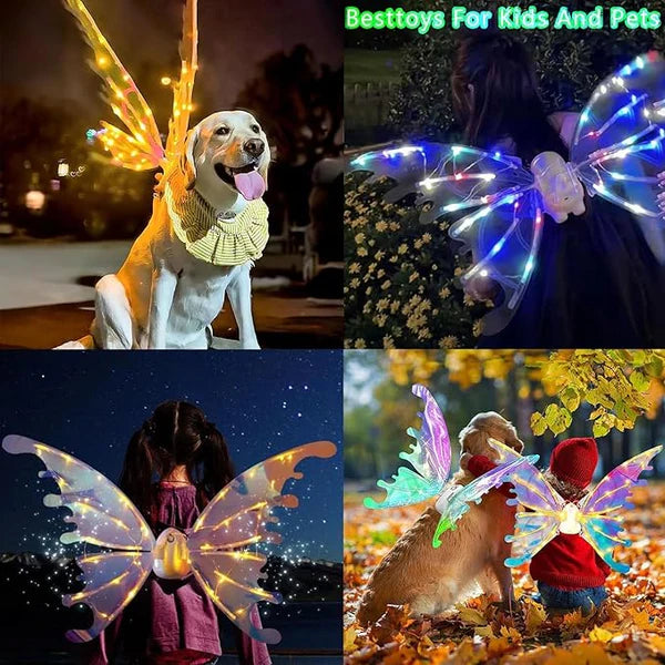 Alas LED, Brillo, música y fantasía