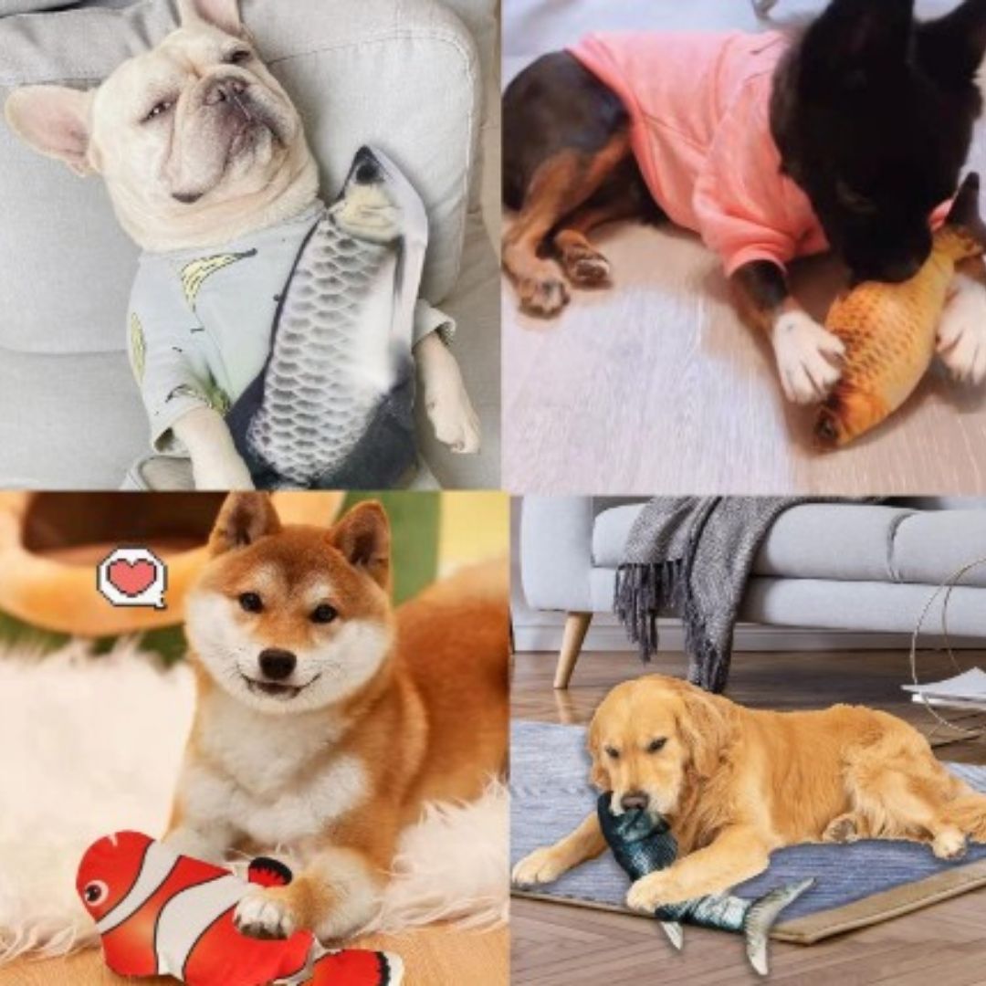 AquaPez™ – Pez Interactivo Inteligente