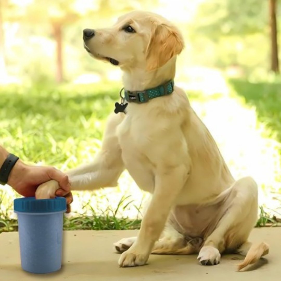 Combo Pets and Fresh