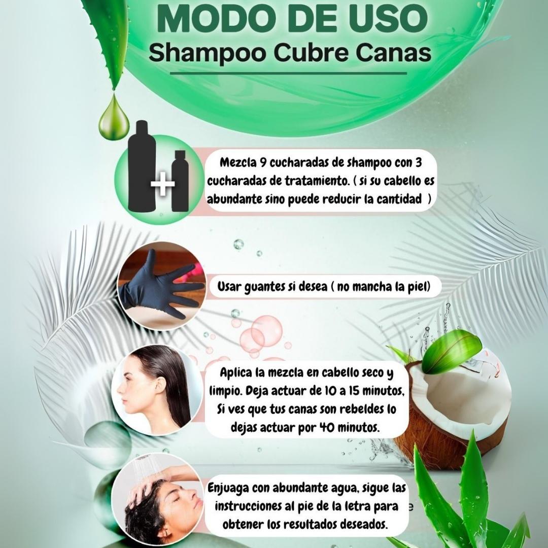 CHAO Canas: Shampoo + Tratamiento que renueva tu look en minutos