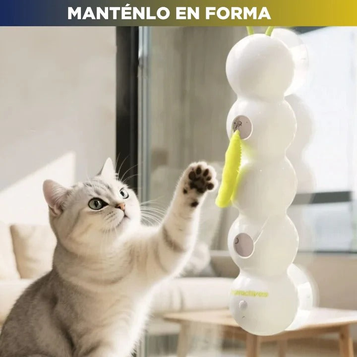 Happy Cat: El juguete inteligente divertido para tu gato.